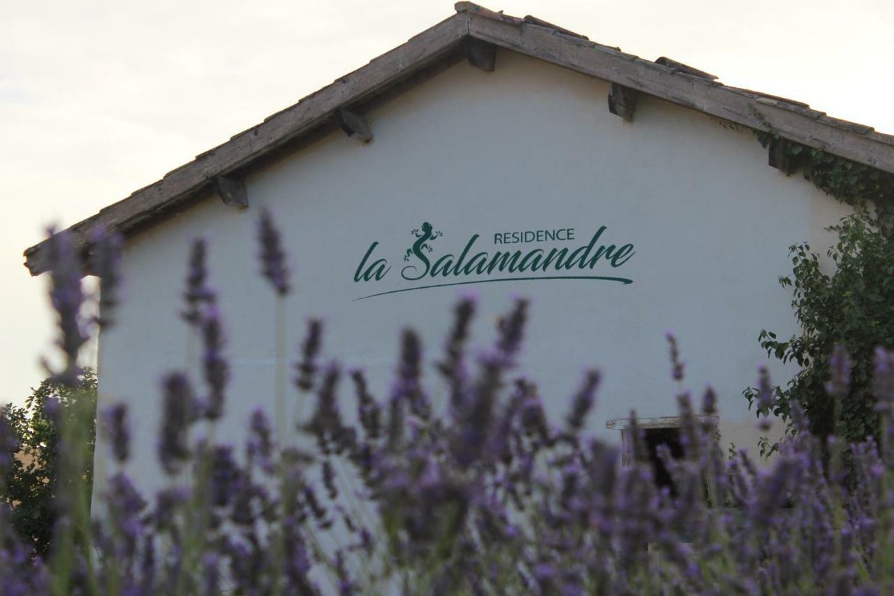 Residence La Salamandre Kamers Rabastens Екстер'єр фото